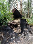 IMG_20190321_111825