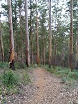 IMG_20190321_104059