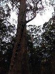 IMG_20190321_025632