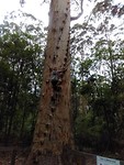 IMG_20190321_025600