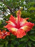 IMG_20190322_123021