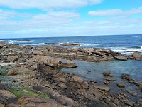 IMG_20190323_095442
