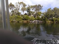 IMG_20190324_075445