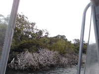 IMG_20190324_073354