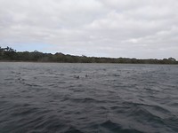 IMG_20190324_155444
