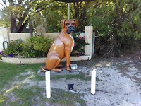 IMG_20190325_084536
