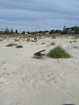 IMG_20190326_145804