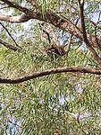 IMG_20190326_153103