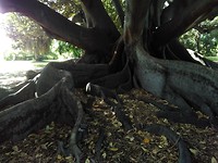 IMG_20190402_055500