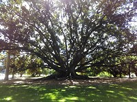 IMG_20190402_055340