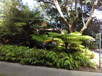 IMG_20190402_041154