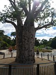 IMG_20190402_105833