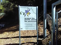 IMG_20190403_060911