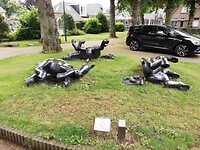 Rollende paarden in Bathmen