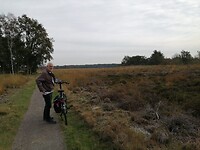 Overijssel 2021 001 De hei