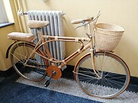 Overijssel 2021 042 Fiets van bamboe en vlechtwerk