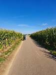 Glooiende wegen dus soms best pittig trappen