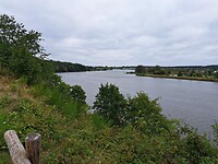 De meanderende Maas