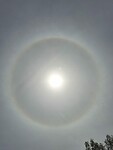 Halo om de zon, voorteken van minder mooi weer