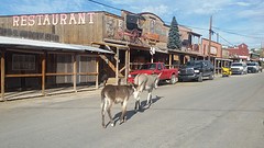 20160928_085520