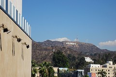 IMG_1264[1]