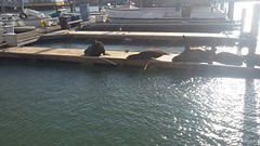 20160920_171909