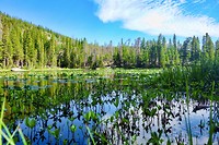 Bear Lake 2