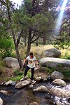 rocks