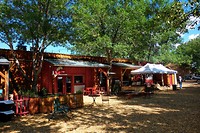 Orchard