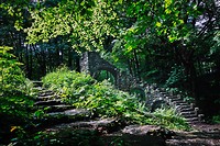 trap en groen