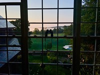 foto vanuit bed