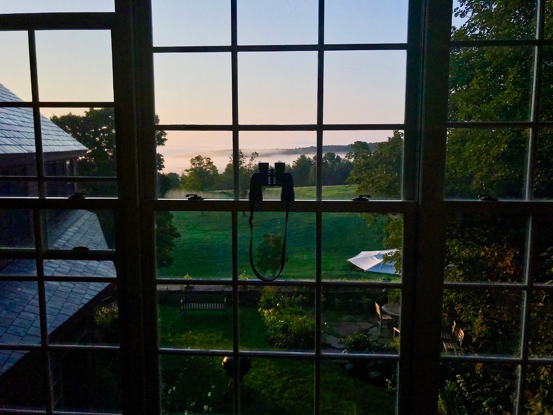 foto vanuit bed