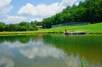 pond