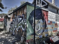 IMG_3295