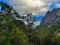 IMG_4547