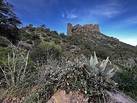 IMG_4553