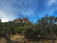 IMG_4548