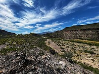IMG_4701