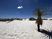 IMG_4816