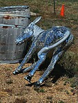 IMG_4833