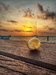 IMG_6887