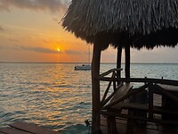 IMG_6886