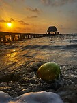 IMG_6894