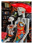 IMG_6912