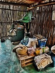 IMG_6914