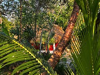 IMG_6917