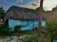IMG_6918