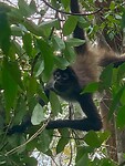 IMG_0620