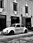 IMG_7093