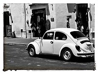 IMG_7077